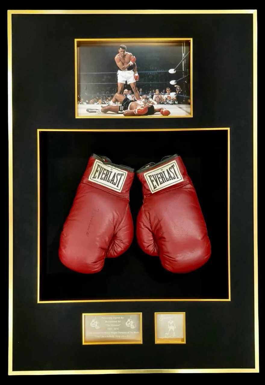 Muhammad Ali — signed Everlast gloves — ของสะสมพร้อมลายเซ็นของแท้ในกรอบ